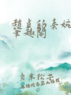 赵贞的秦婉小说笔趣阁