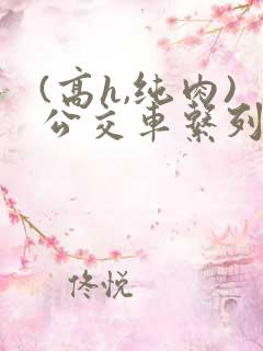 (高h,纯肉)公交车系列