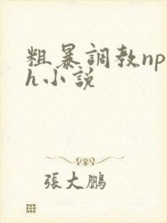 粗暴调教np高h小说