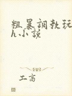 粗暴调教玩弄高h小说