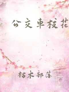 公交车校花白洁