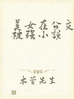 美女在公交车上被强小说