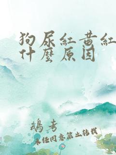 狗尿红黄红黄是什么原因