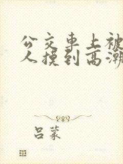 公交车上被陌生人摸到高潮