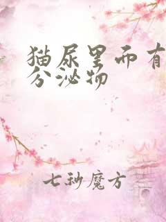 猫尿里面有黄色分泌物