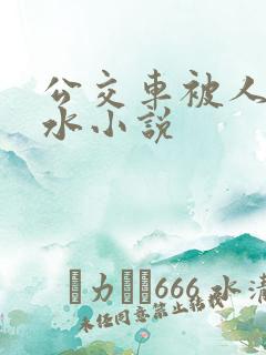 公交车被人摸出水小说