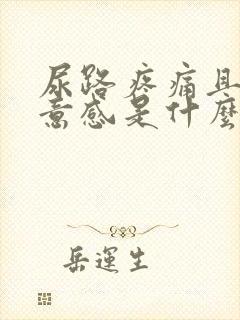 尿路疼痛且有尿意感是什么原因