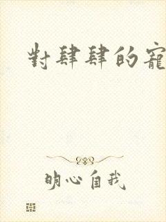 对肆肆的宠爱
