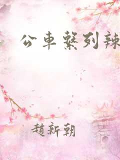 公车系列辣文