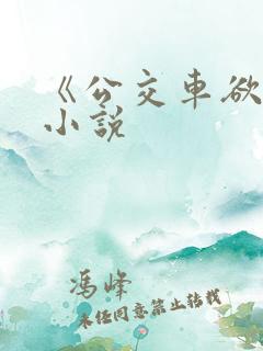 《公交车欲淫》小说