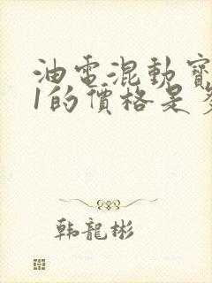 油电混动宝马x1的价格是多少