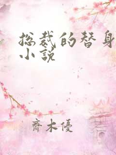 总裁的替身新娘小说