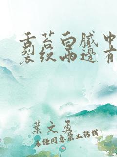 舌苔白腻中间有裂纹两边有齿痕