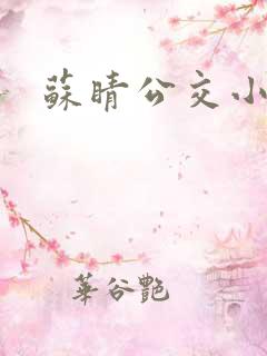 苏睛公交小说