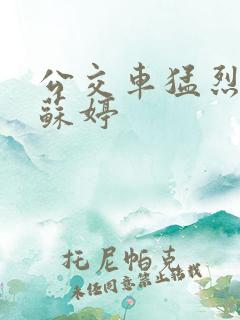 公交车猛烈进出苏婷