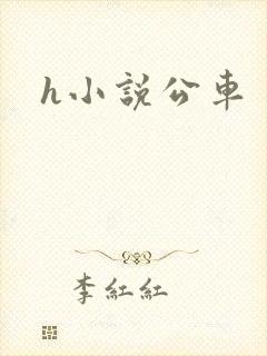 h小说公车