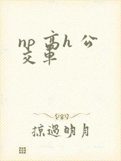 np 高h 公交车