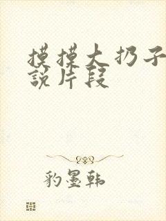 摸摸大扔子的小说片段