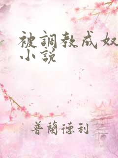 被调教成奴隶的小说