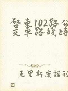 启东102路公交车路线时间表