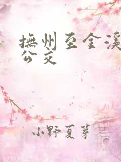 抚州至金溪城际公交