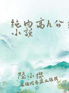 纯肉高h公交车小说