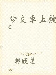 公交车上被狂摸c