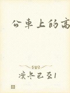 公车上的高辣h