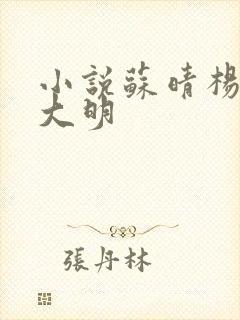 小说苏晴杨彬杨大明