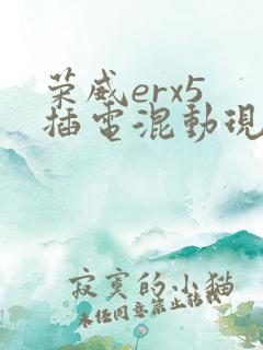 荣威erx5 插电混动现在价格