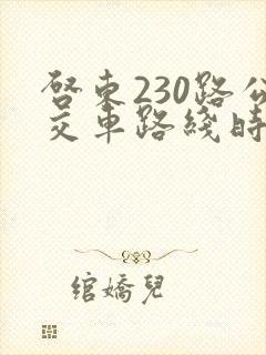 启东230路公交车路线时间表