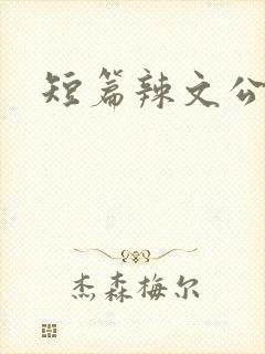 短篇辣文公交车