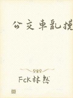 公交车乱摸