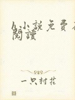h小说免费在线阅读