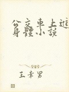 公交车上进入我身体小说