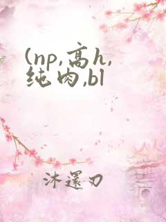 (np,高h,纯肉,bl
