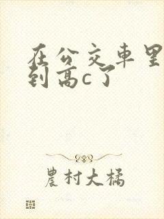 在公交车里c弄到高c了
