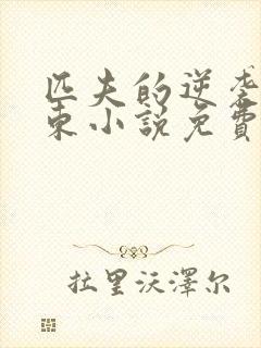 匹夫的逆袭刘汉东小说免费阅读