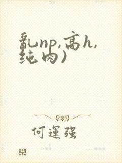 乱np,高h,纯肉)