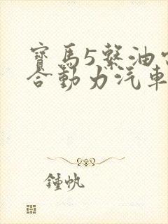 宝马5系油电混合动力汽车价格