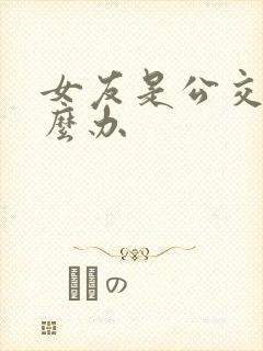 女友是公交车怎么办