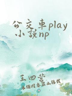 公交车play 小说np