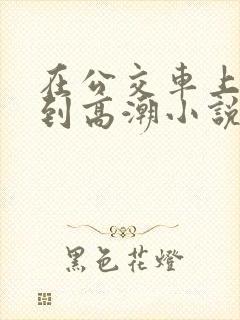 在公交车上被弄到高潮小说