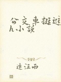公交车挺进的小h小说