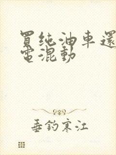 买纯油车还是油电混动