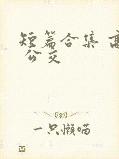 短篇合集 高h 公交