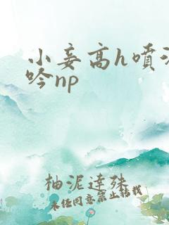 小妾高h喷汁呻吟np