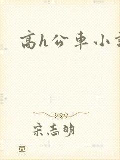 高h公车小说