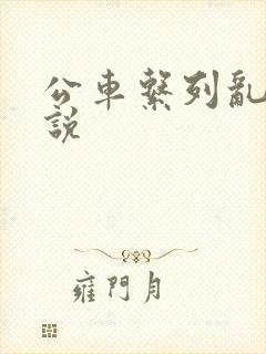 公车系列乱欲小说