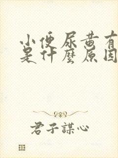 小便尿黄有泡沫是什么原因